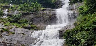 Hills and Backwaters Delight- Alleppey, Munnar 2N 3D