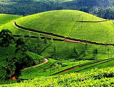 Kodaikanal Munnar Delight - 3 Days