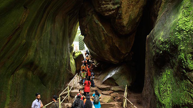 Chembra peak & Edakkal Caves Trekking