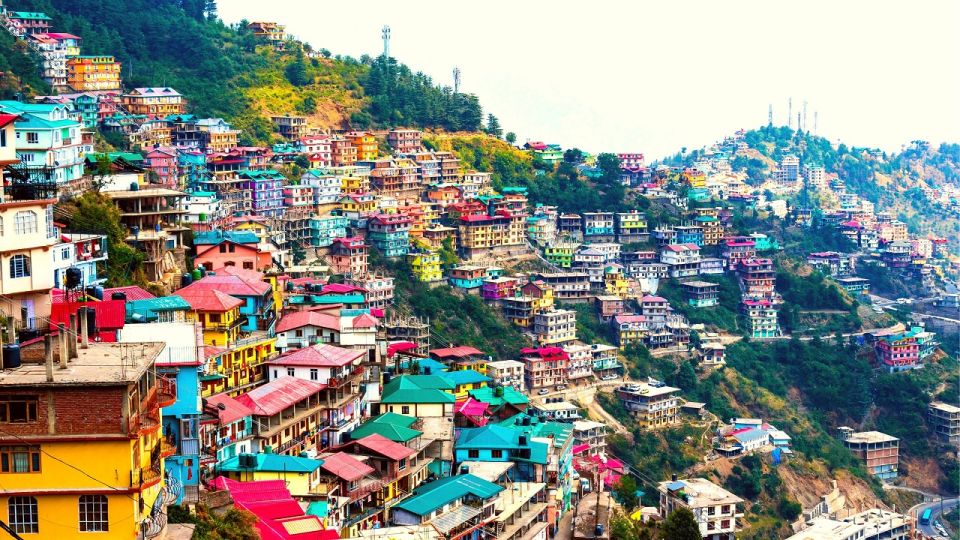 Shimla Local & Kufri Sightseeing & Evening drop