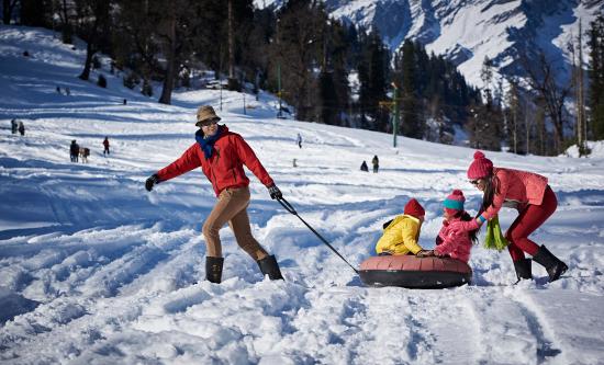 Majestic Manali 4N 5D